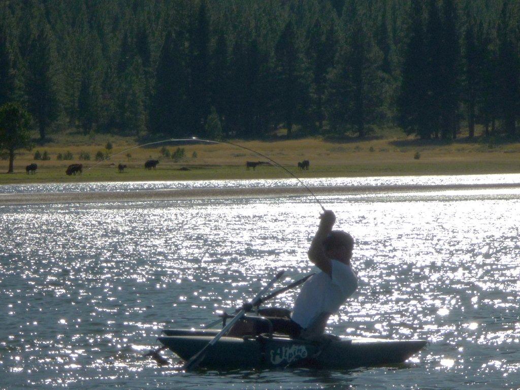 Fly fishing from a pontoon boat at golden hour