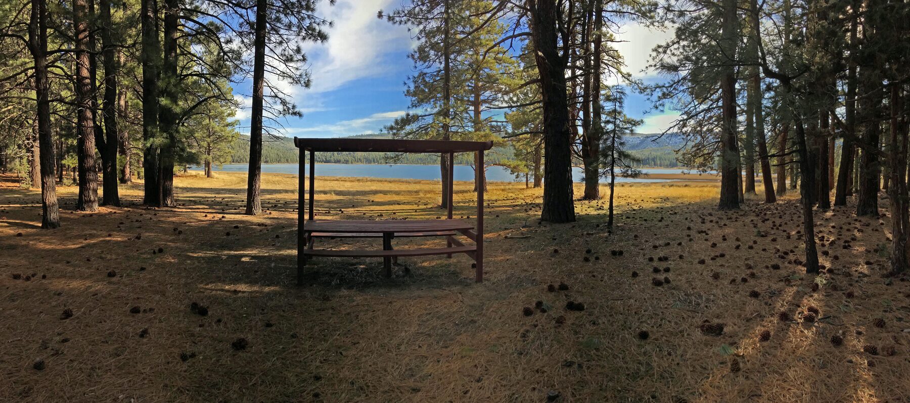 A picnic table among the pines overlooking the reservoir