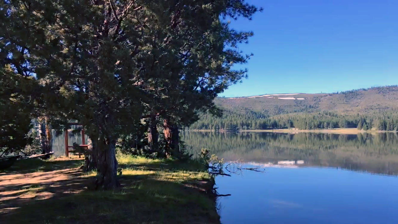 A calm shoreline view of Round Valley Reservoir with pine trees and a small dock area on a clear morning