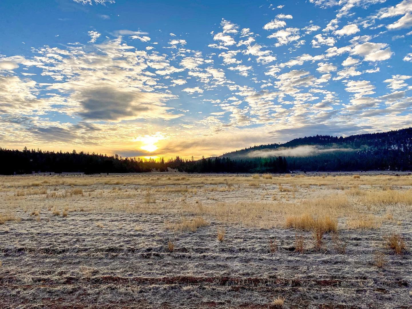 A frosty sunrise over a ranch pasture with golden light breaking through the clouds