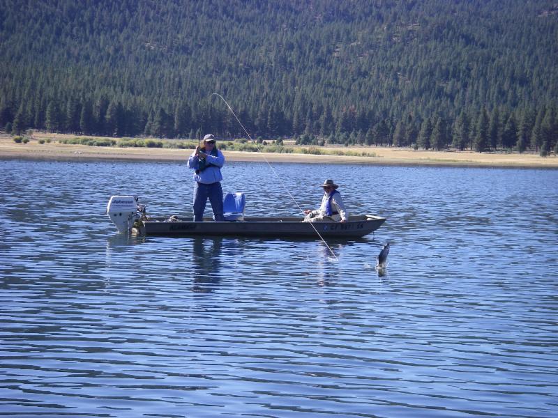 A rainbow trout jumping out of the water near two anglers fishing from a boat